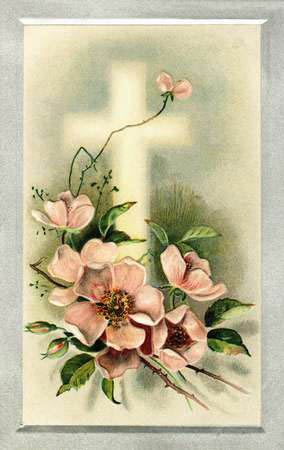 RLCHR118