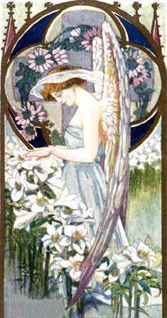 whitewingangel